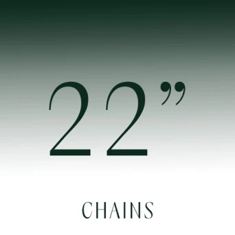 22 Inch Chains